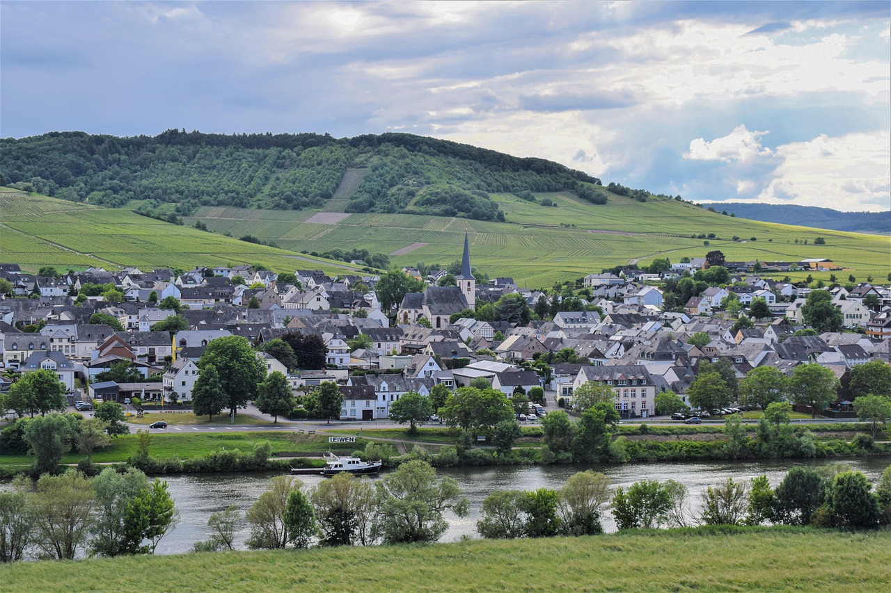 découvrez les pratiques de viticulture durable pour produire du vin tout en respectant l'environnement et en préservant les ressources naturelles.