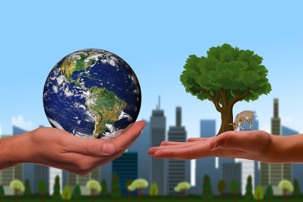 découvrez comment les entreprises régénératives transforment l'économie en adoptant des pratiques durables et en favorisant des modèles d'affaires respectueux de l'environnement. apprenez à créer un impact positif sur la planète tout en générant de la valeur.