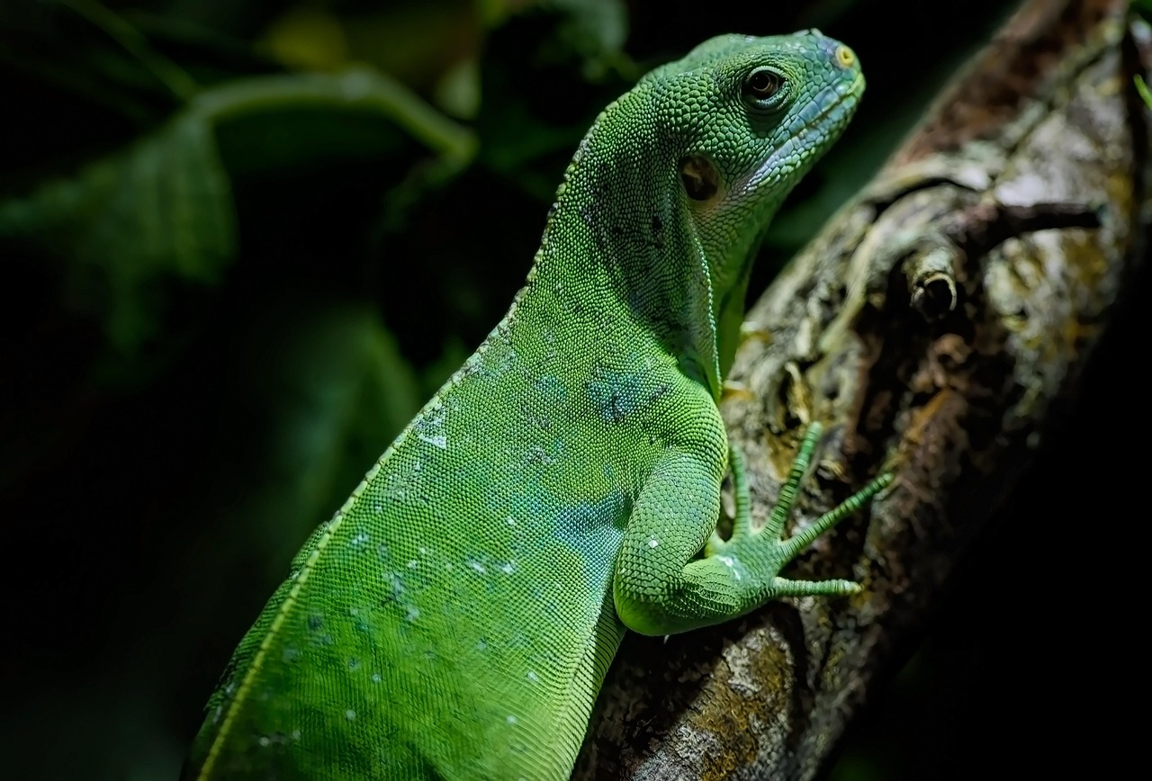 découvrez tout sur le camouflage : techniques, utilisations et conseils pour se fondre dans l'environnement en toute discrétion.