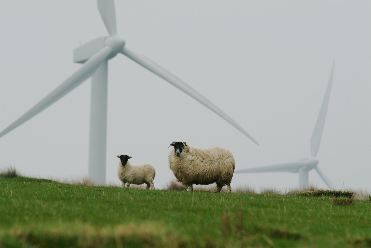 découvrez comment adopter des pratiques durables au quotidien pour protéger l'environnement et garantir un avenir meilleur grâce à nos conseils sur la sustainability.