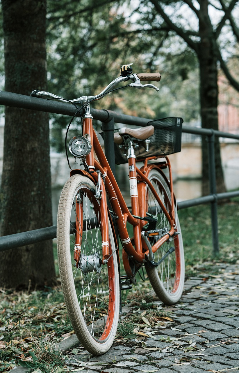 découvrez les avantages de la mobilité à vélo, une alternative écologique et pratique pour vos trajets quotidiens. apprenez comment intégrer le cyclisme dans votre routine et explorez des conseils pour un mode de transport sain et durable.