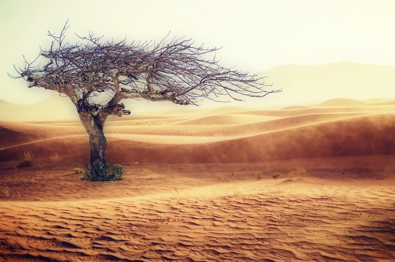 découvrez l'impact du changement climatique sur notre planète et les actions que nous pouvons entreprendre pour préserver notre environnement. ensemble, agissons pour un avenir durable.