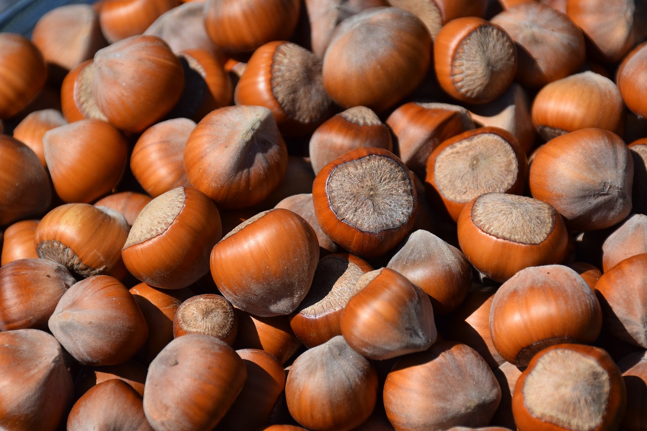 découvrez notre sélection de graines locales, idéales pour votre jardin et votre potager. cultivez des variétés adaptées à votre région et soutenez la biodiversité tout en récoltant des produits sains et savoureux.