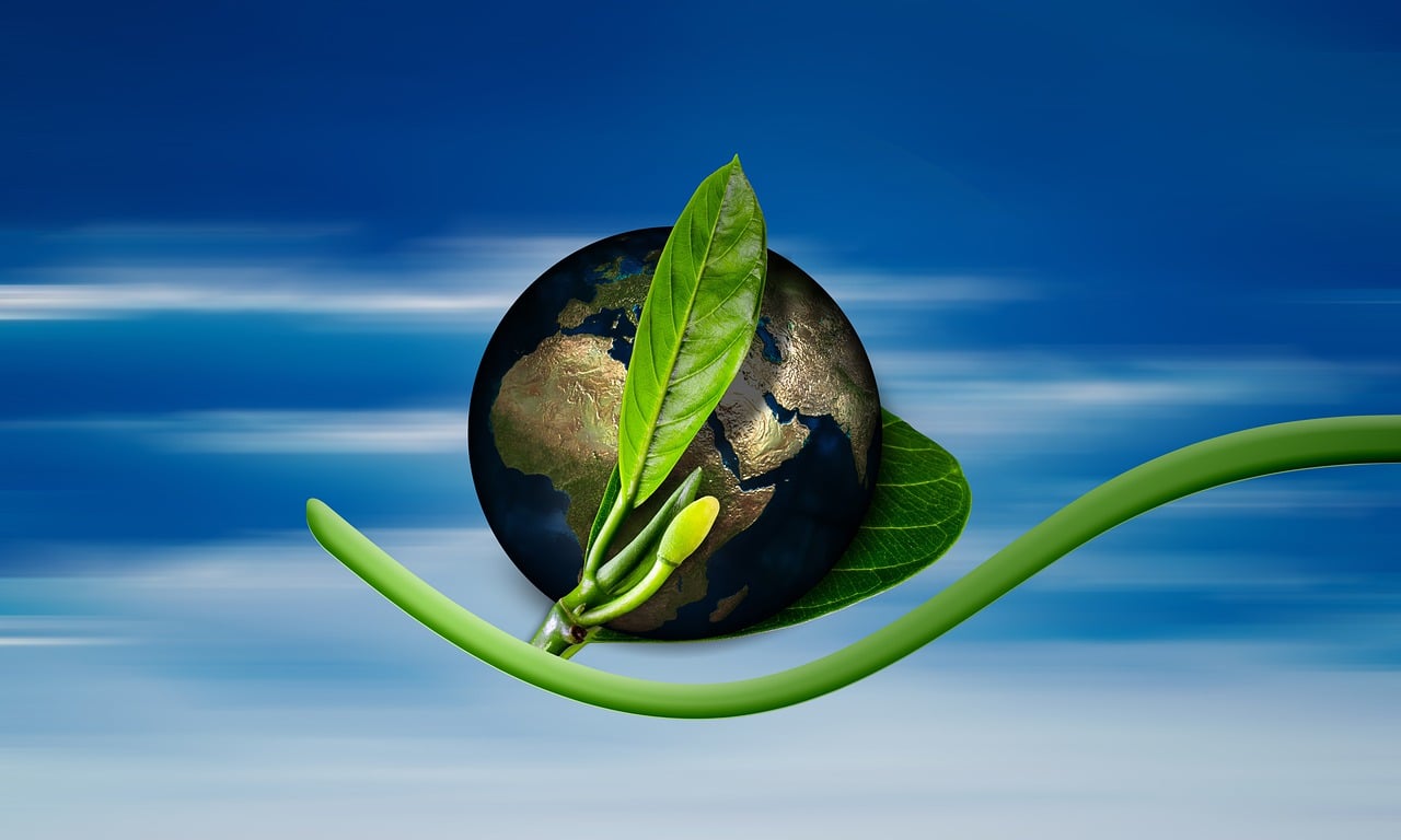 découvrez les enjeux et les impacts du changement climatique sur notre planète. informez-vous sur les causes, les conséquences et les solutions pour lutter contre ce phénomène mondial qui affecte notre environnement et nos sociétés.