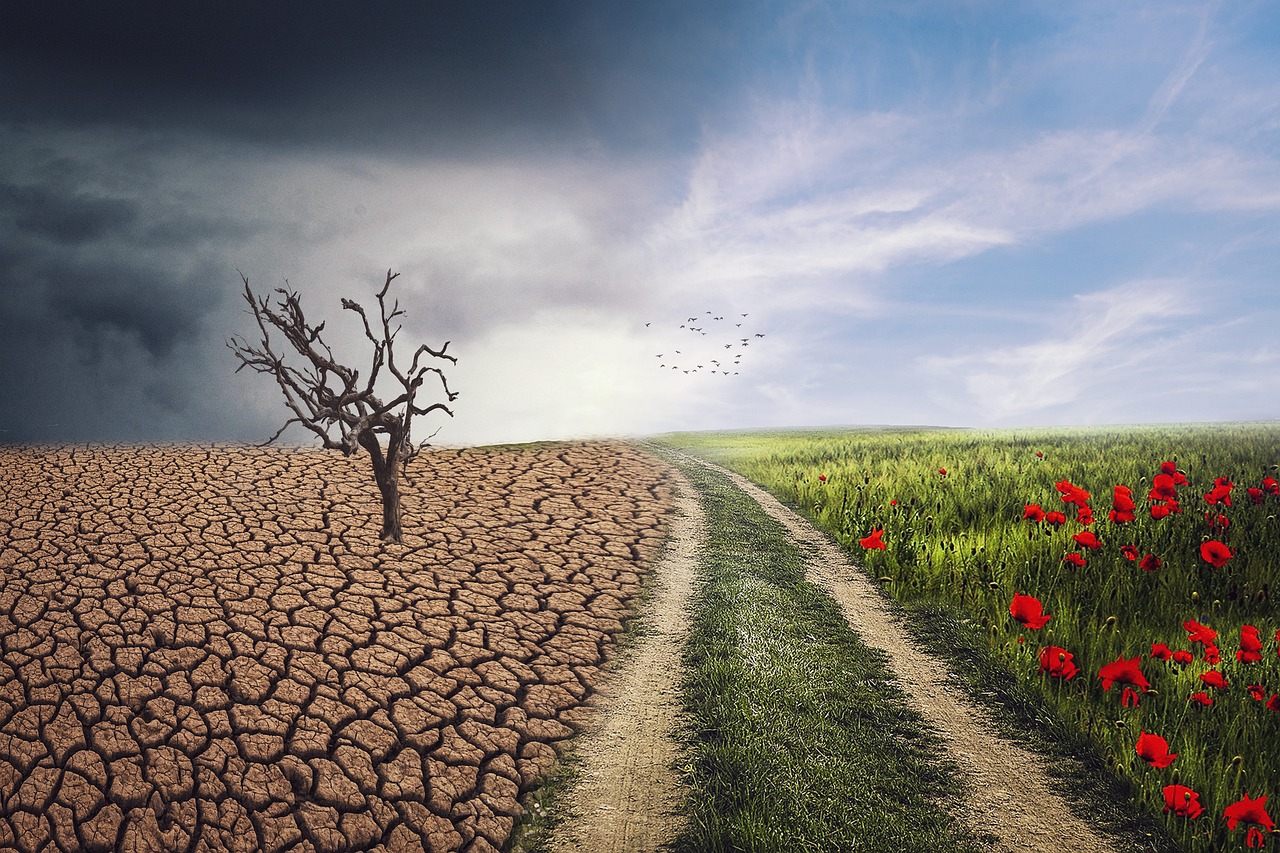 découvrez les enjeux du changement climatique, ses impacts globaux et les solutions pour un avenir durable.