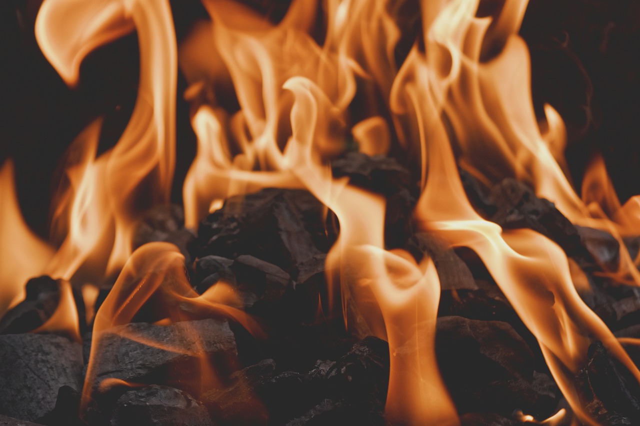 découvrez tout sur les heatwaves, ces épisodes de fortes chaleurs qui touchent de plus en plus de régions. causes, impacts et conseils pour s’y préparer et se protéger efficacement.