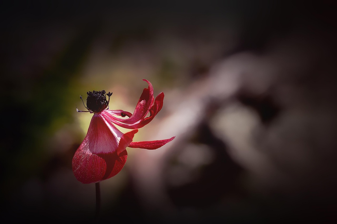 étiquettes de jardin pratiques et durables pour identifier facilement vos plantes, fleurs et légumes. organisez votre jardin avec style et efficacité.