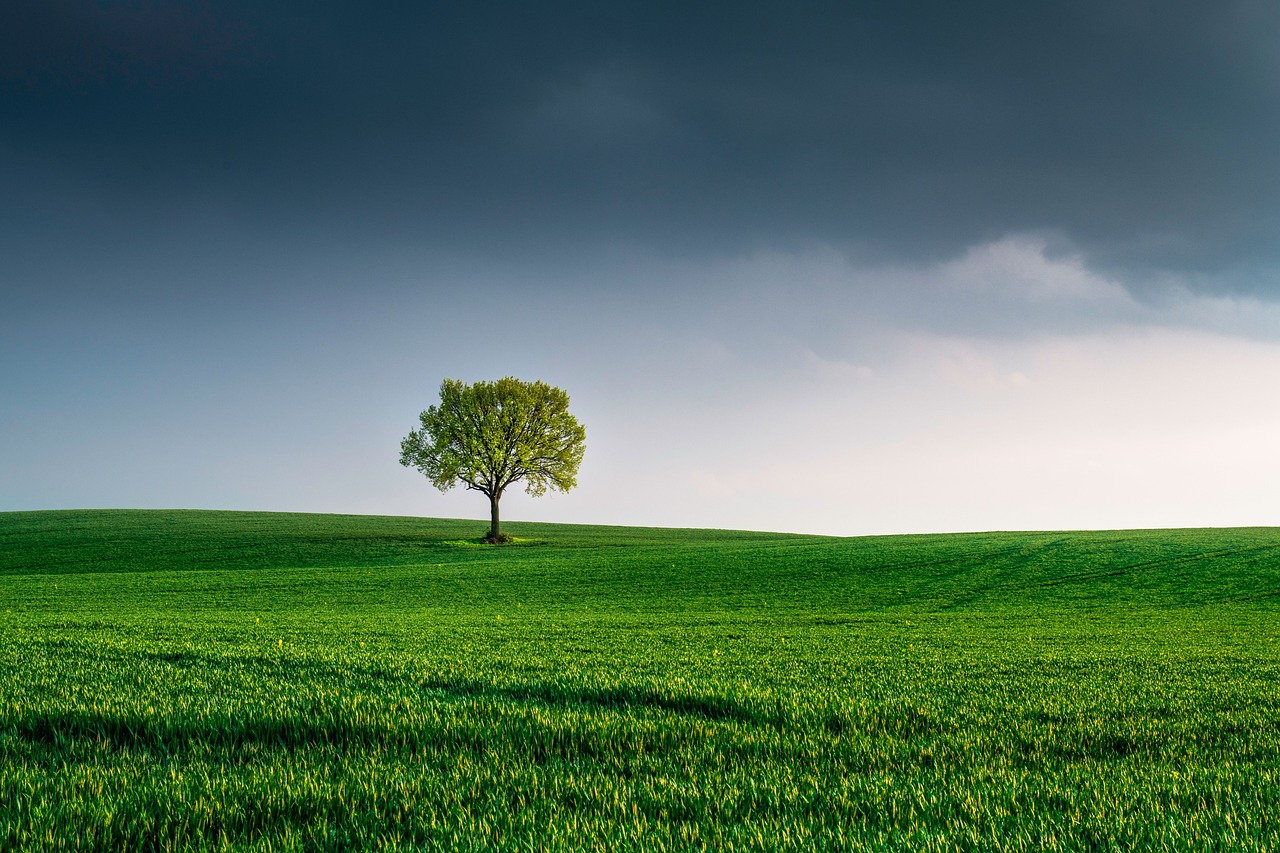 célébrez la journée de la terre en découvrant des actions simples pour préserver notre planète. un engagement pour un avenir durable et une prise de conscience collective envers notre environnement.