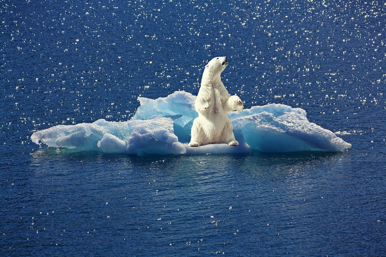découvrez comment la finance climatique soutient la transition vers une économie durable, finance des projets écologiques et lutte contre le changement climatique à l’échelle mondiale.