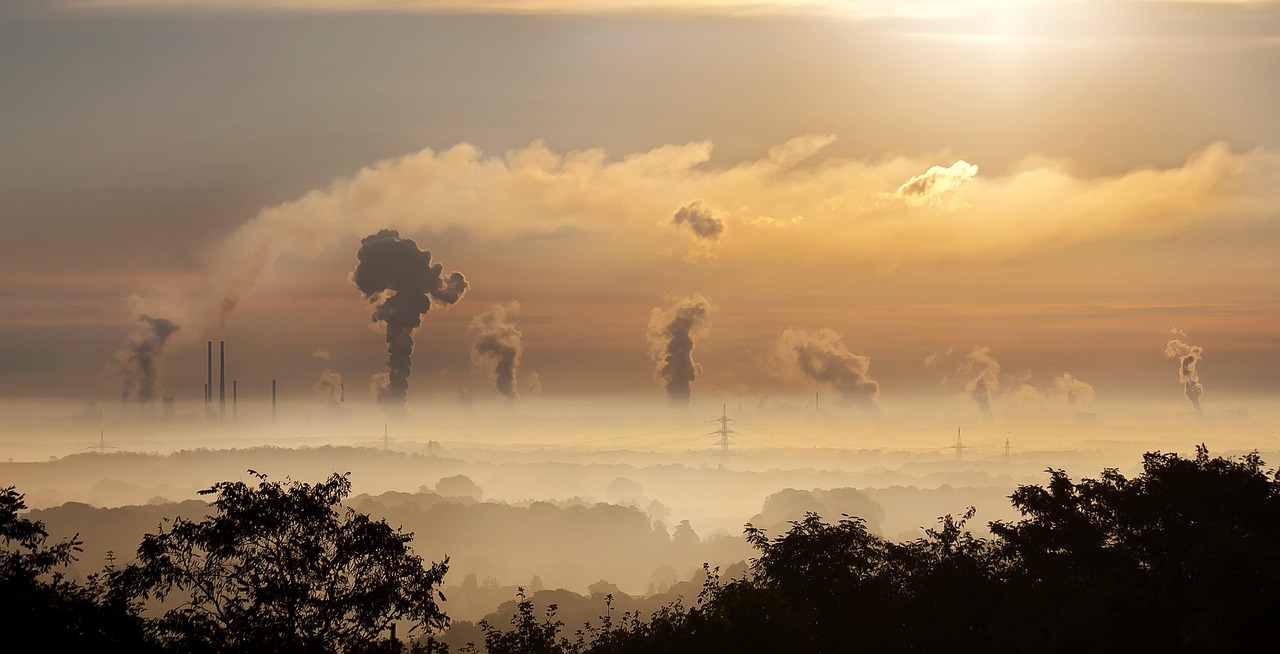découvrez comment la protection de l'environnement contribue à préserver la planète grâce à des actions et des solutions durables pour un avenir plus sain.