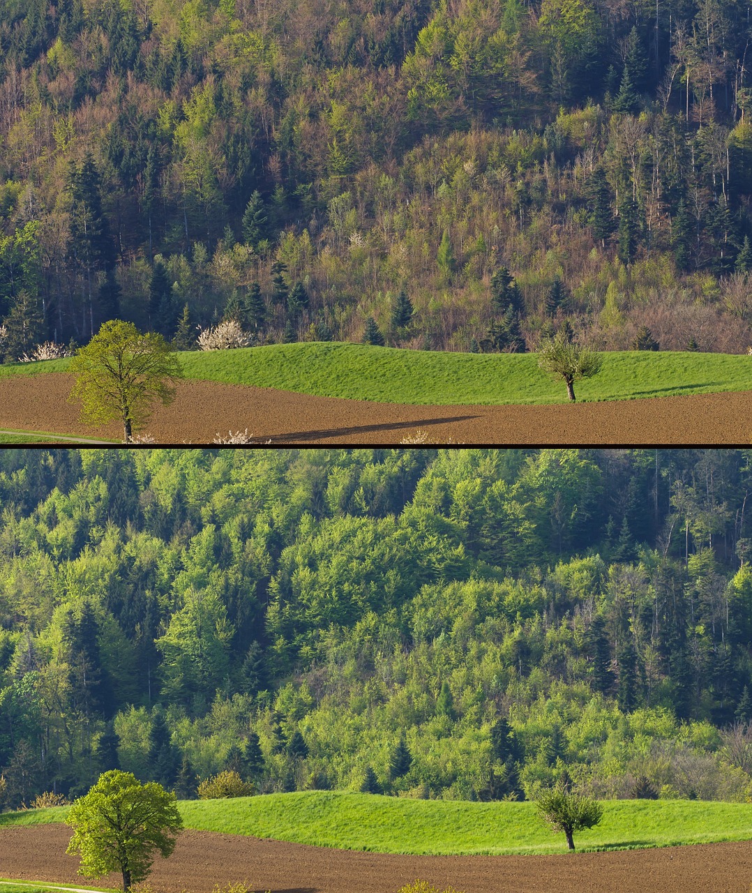 découvrez des stratégies efficaces pour la réduction des émissions de co2 et contribuez à la protection de l'environnement.