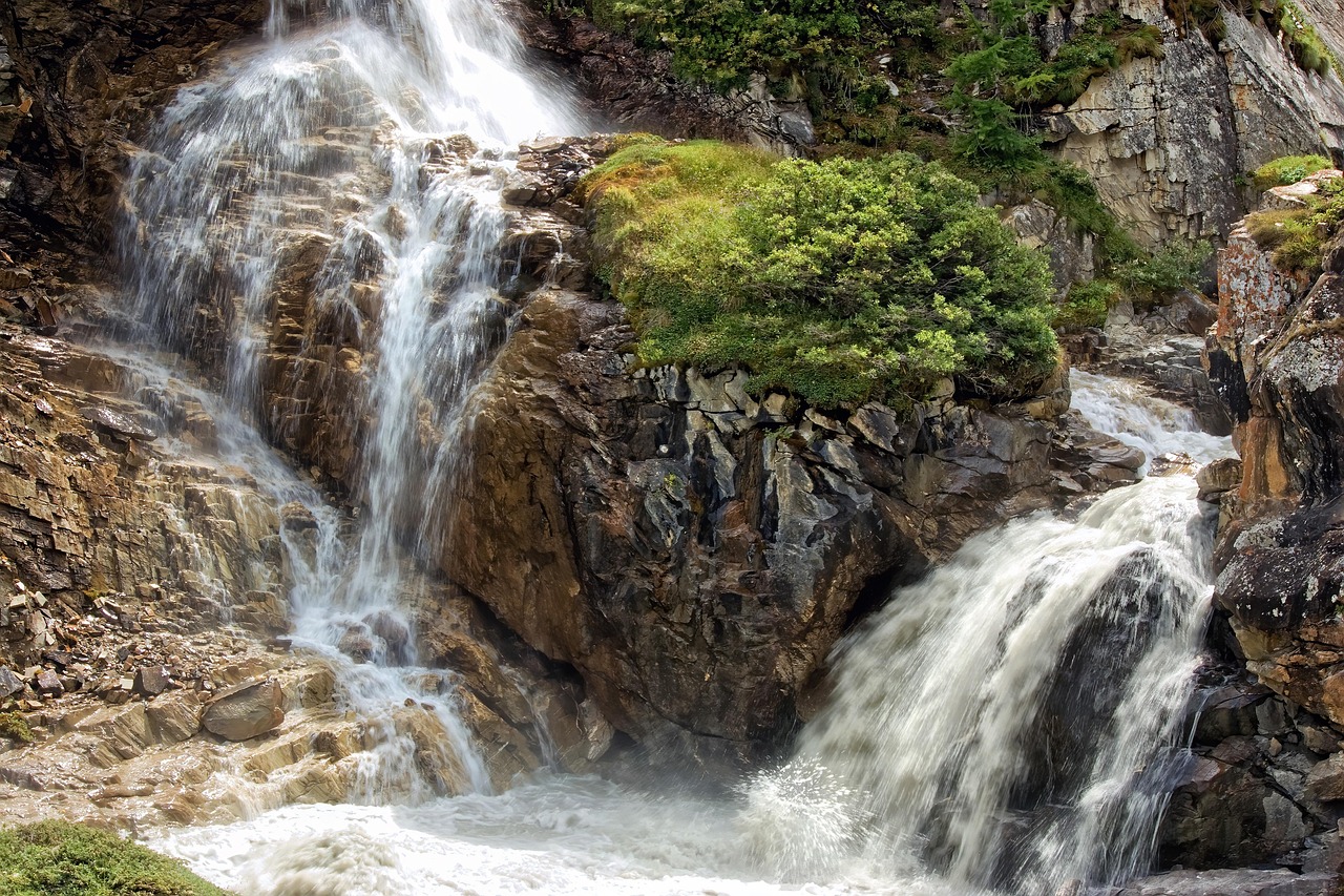 découvrez l'importance de l'environnement et des enjeux écologiques actuels. explorez des solutions durables pour protéger notre planète et améliorer la qualité de vie des générations futures.