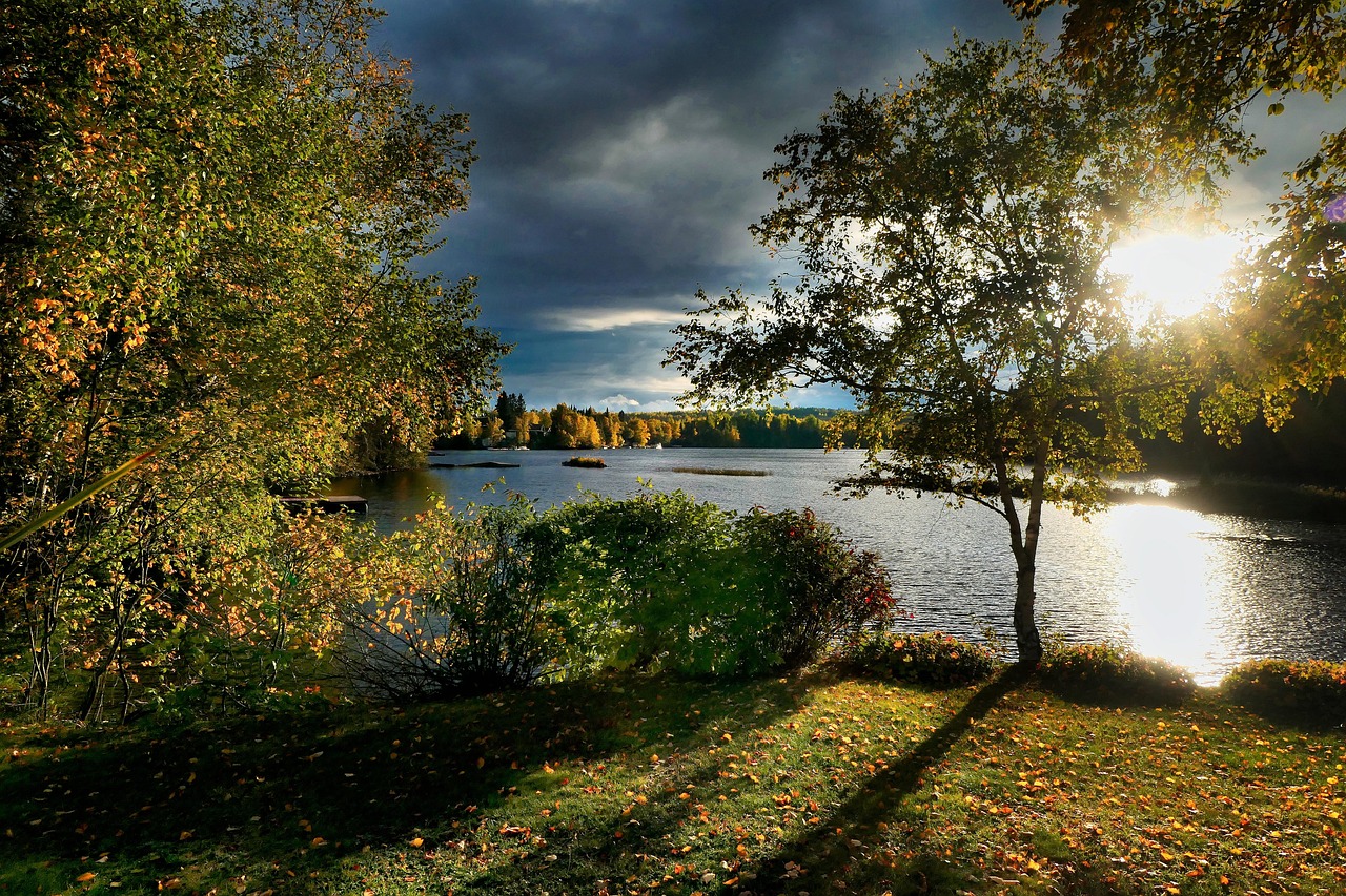 découvrez l'importance de la biodiversité pour notre planète. explorez les écosystèmes variés, les espèces menacées et les actions nécessaires pour préserver notre riche patrimoine naturel. engagez-vous pour un avenir durable et protégez la diversité du vivant.