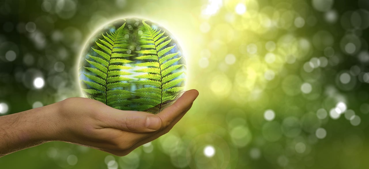 découvrez l'importance de la protection de l'environnement et comment nos actions peuvent préserver notre planète pour les générations futures. explorez des conseils pratiques et des initiatives pour un avenir durable.