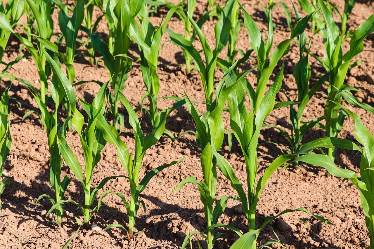 découvrez les techniques et solutions d'adaptation pour optimiser la production de forage, améliorer l'efficacité et répondre aux exigences environnementales.