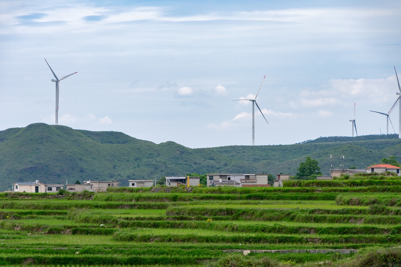 découvrez des projets durables innovants qui allient écologie et responsabilité sociale. engagez-vous dans des initiatives éco-responsables pour un avenir meilleur.