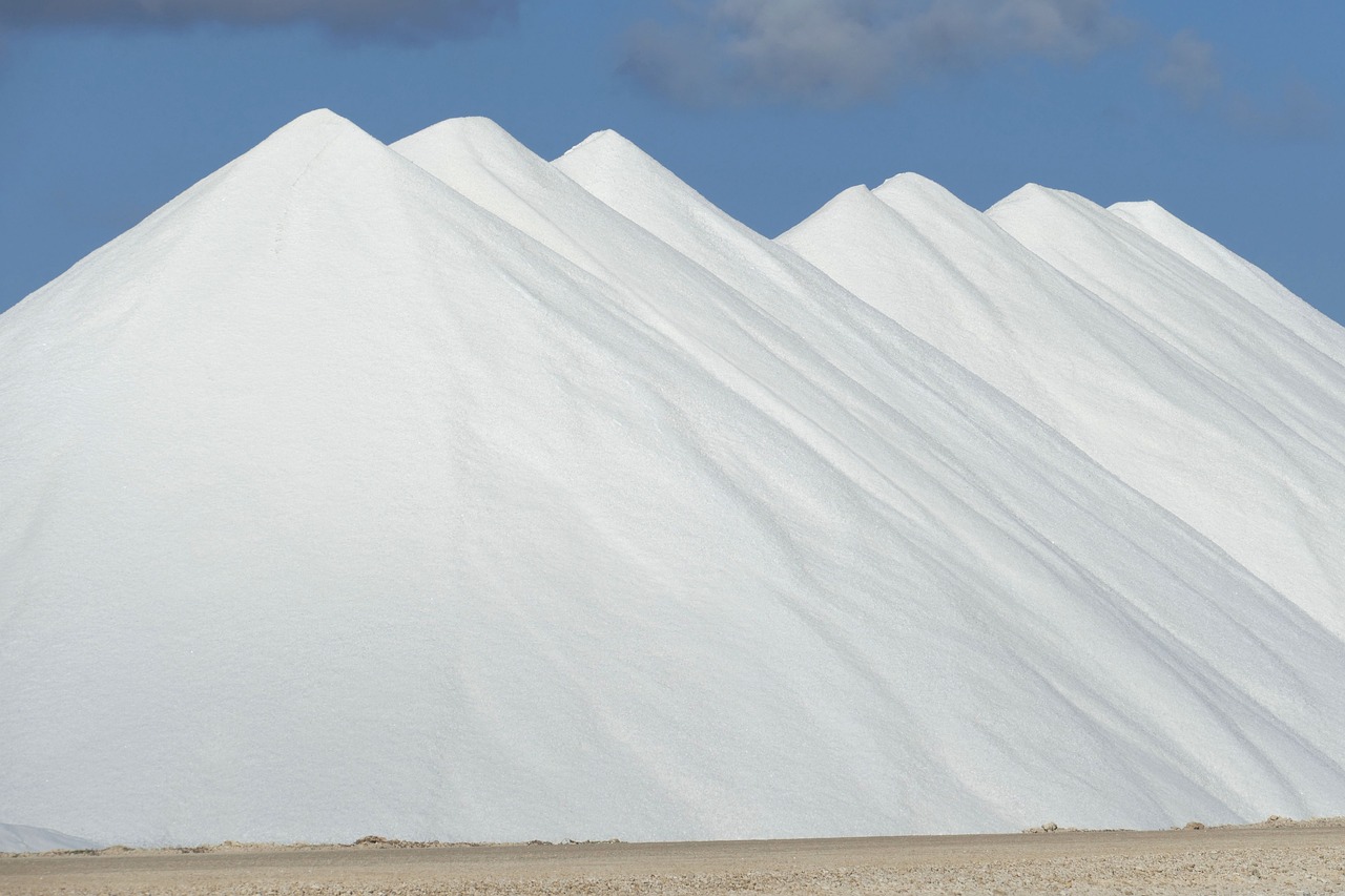 découvrez la vie des résidents de bonaire, une île des caraïbes connue pour son mode de vie paisible, sa culture riche et ses paysages exceptionnels.