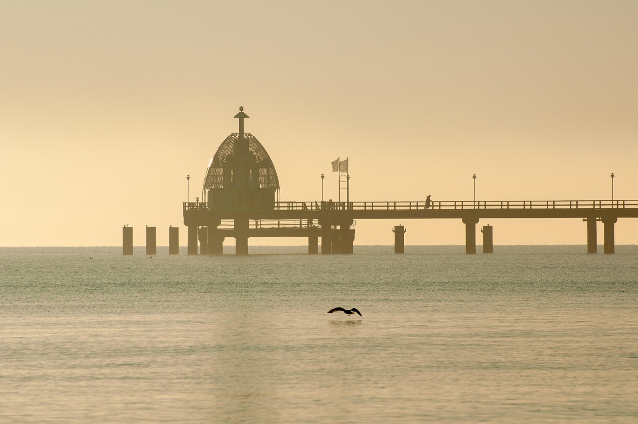 explorez les merveilles de l'océan, un vaste monde rempli de biodiversité, de mystères et d'aventures aquatiques. plongez dans ses profondeurs pour découvrir la beauté des fonds marins et la richesse de la vie marine.