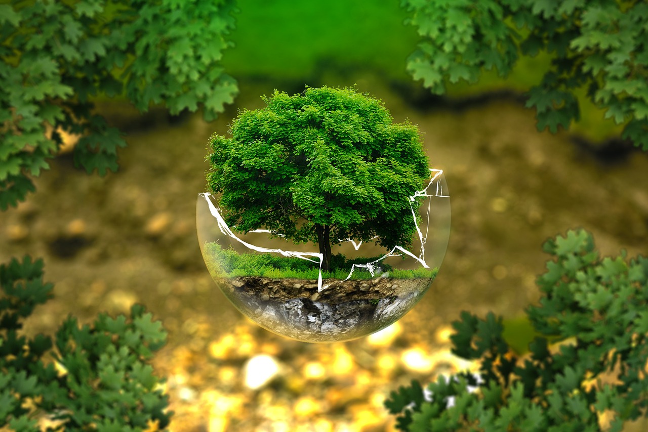 découvrez les réglementations environnementales qui protègent notre planète. explorez les lois, normes et initiatives mises en place pour préserver la biodiversité, lutter contre le changement climatique et promouvoir un développement durable.
