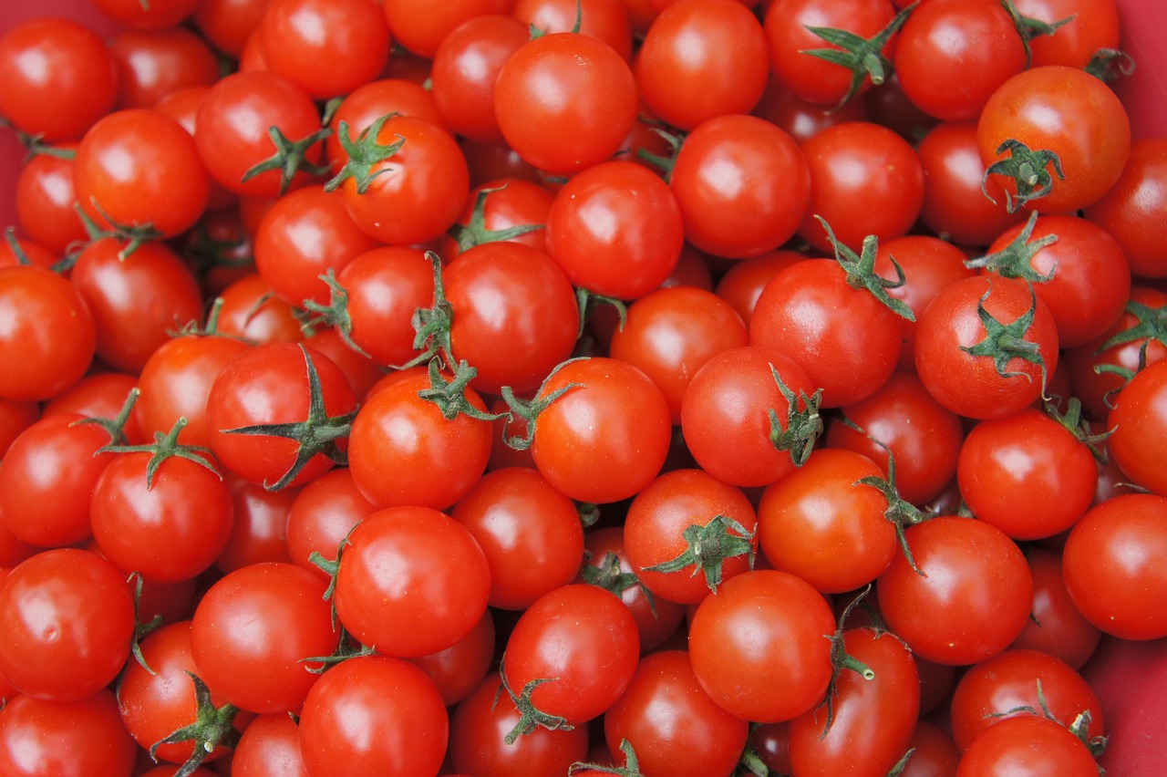 découvrez la méthode idéale pour planter des tomates et obtenir une récolte abondante et savoureuse. guide pratique étape par étape pour réussir la culture de vos tomates.