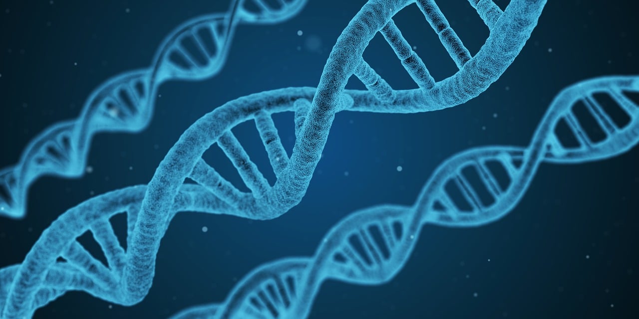 découvrez l'évolution : un voyage à travers le temps qui explore les transformations biologiques, culturelles et technologiques qui ont façonné notre monde. plongez dans les mécanismes de la sélection naturelle et les innovations marquantes qui continuent de redéfinir l'humanité.