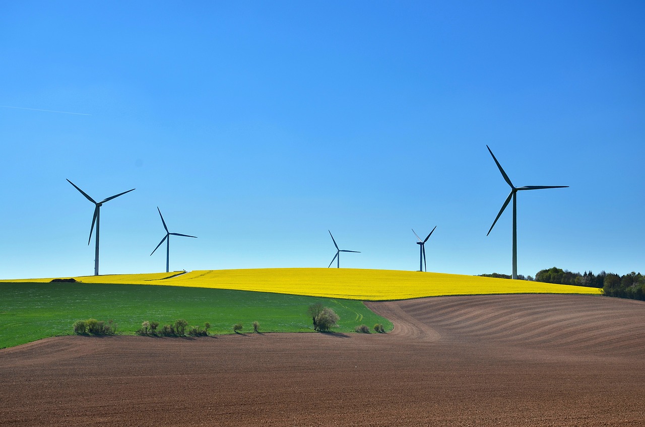 découvrez des pratiques durables qui favoriseront un avenir respectueux de l'environnement. apprenez comment intégrer des solutions écologiques dans votre quotidien, réduire votre empreinte carbone et contribuer à un monde plus durable.