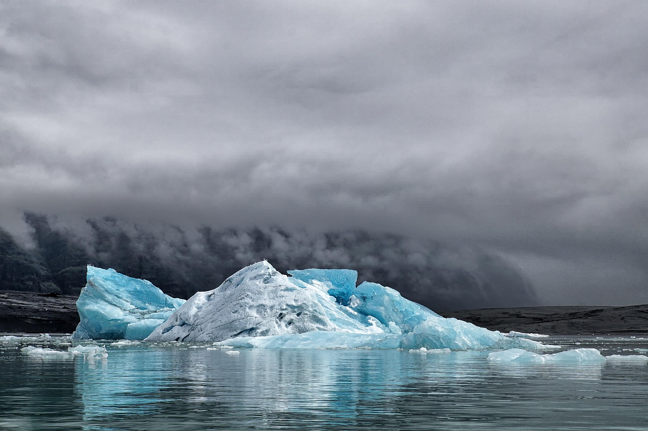 découvrez les causes, conséquences et solutions face au changement climatique pour mieux comprendre ses impacts sur l'environnement et l'avenir de la planète.