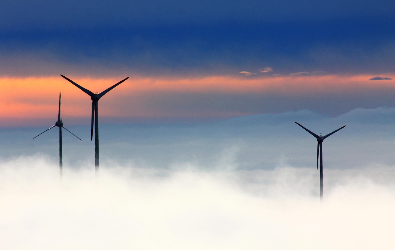 découvrez comment adopter un mode de vie durable grâce à des conseils, des astuces et des solutions écologiques pour préserver l’environnement et favoriser la consommation responsable au quotidien.