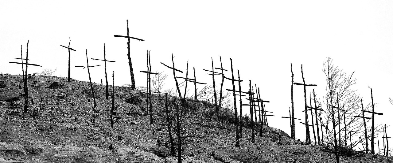 la dégradation des sols : causes, impacts environnementaux et solutions pour préserver la fertilité et la santé des terres agricoles.