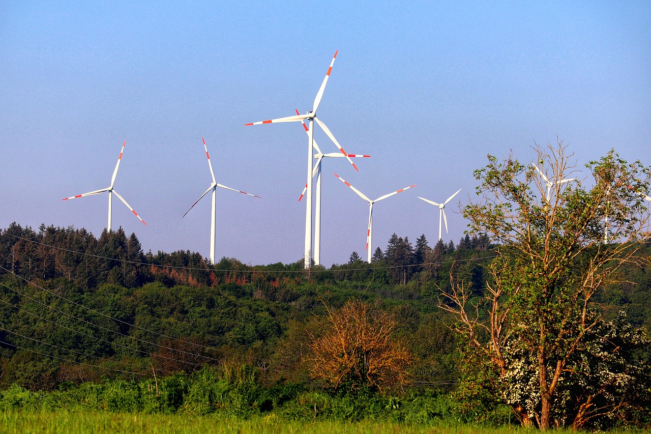 découvrez les enjeux et solutions de la transition climatique pour un avenir durable et respectueux de l'environnement.