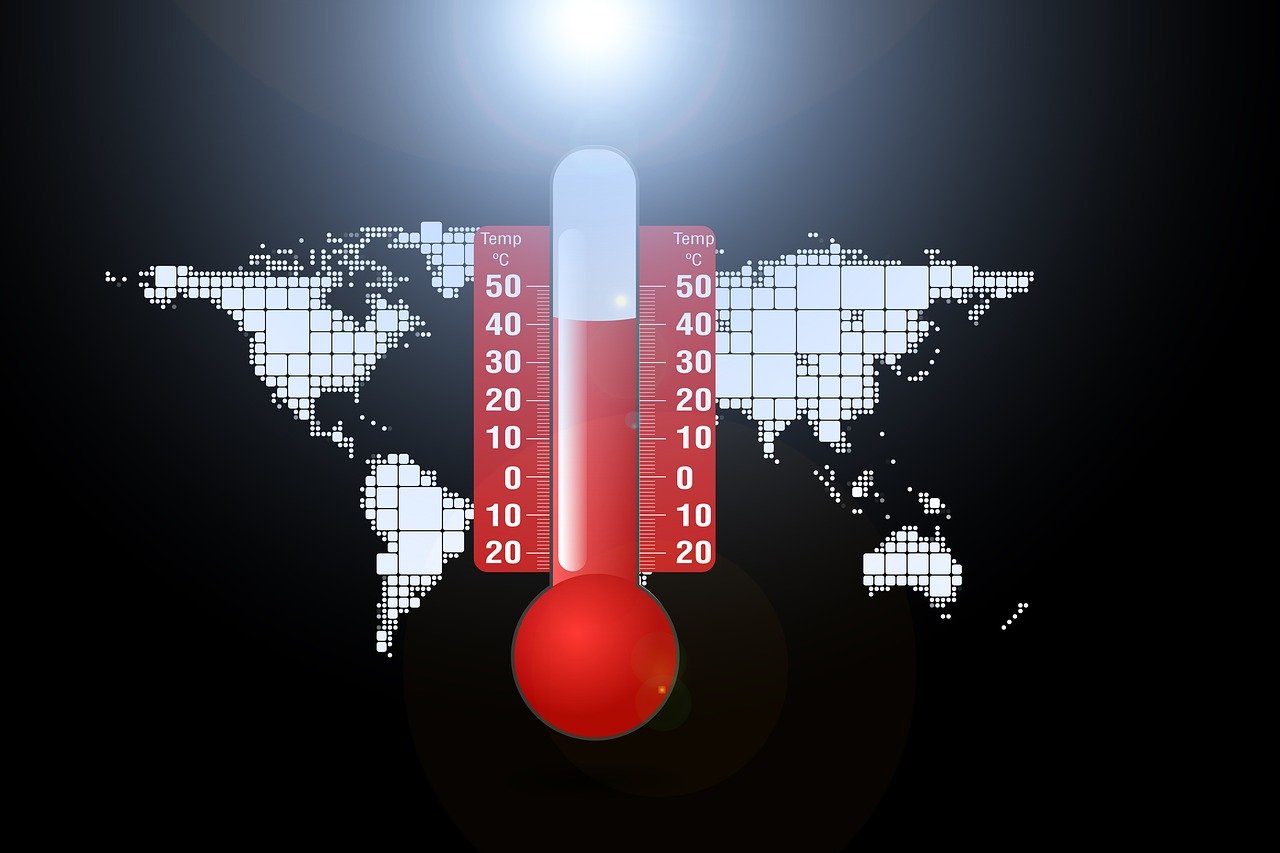 atelier sur le changement climatique : découvrez les enjeux, solutions et actions pour préserver notre planète.