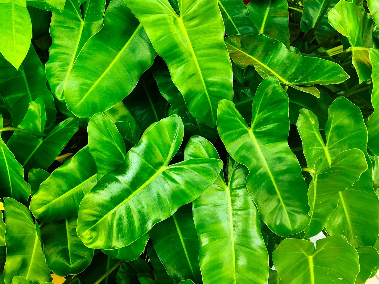 découvrez des solutions innovantes pour un soutien environnemental efficace. engagez-vous pour la protection de la planète avec nos services et conseils adaptés aux enjeux écologiques de demain.