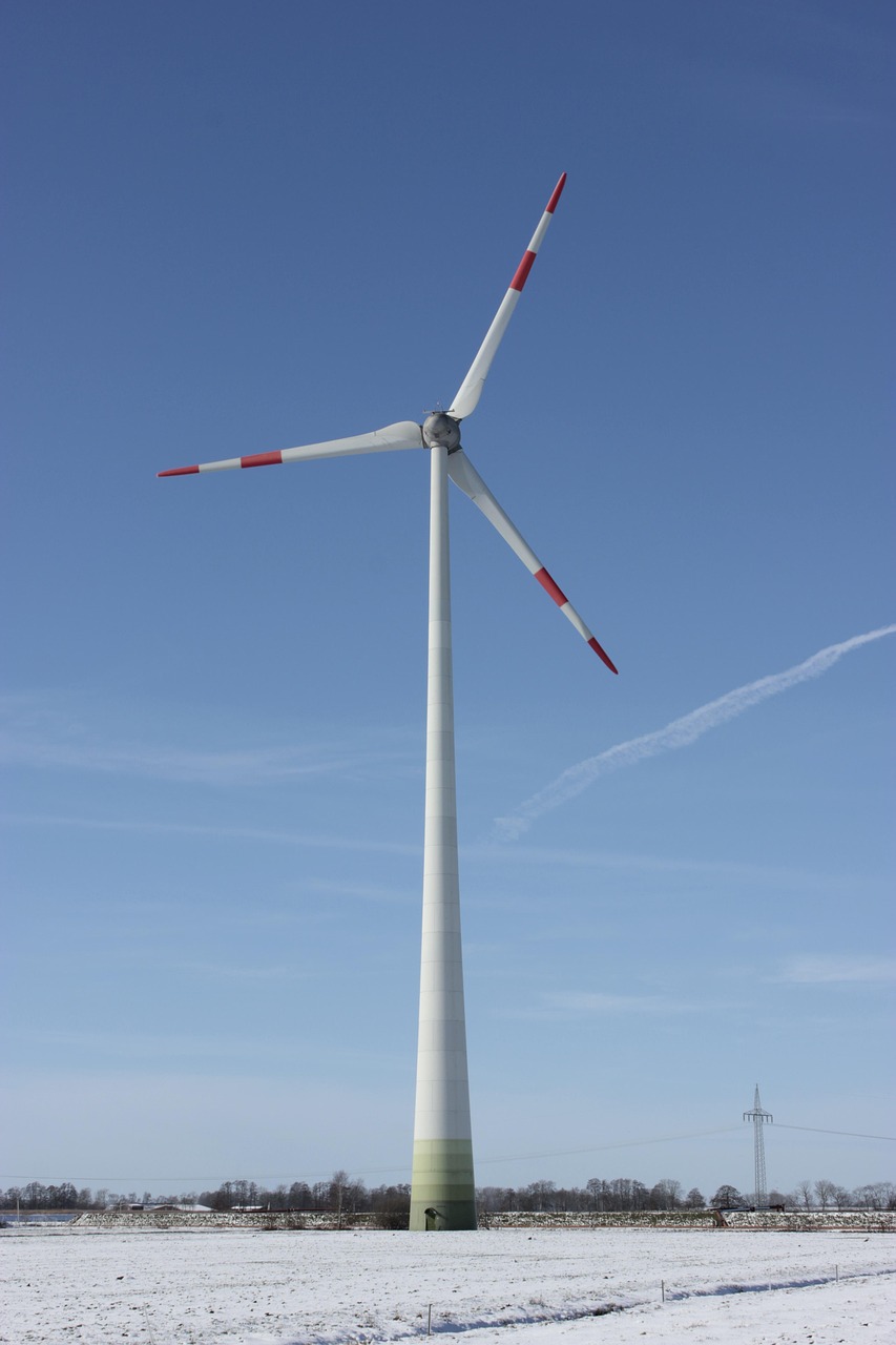 découvrez comment la durabilité peut transformer notre avenir en adoptant des pratiques respectueuses de l'environnement, des solutions innovantes et un mode de vie plus responsable pour préserver la planète.