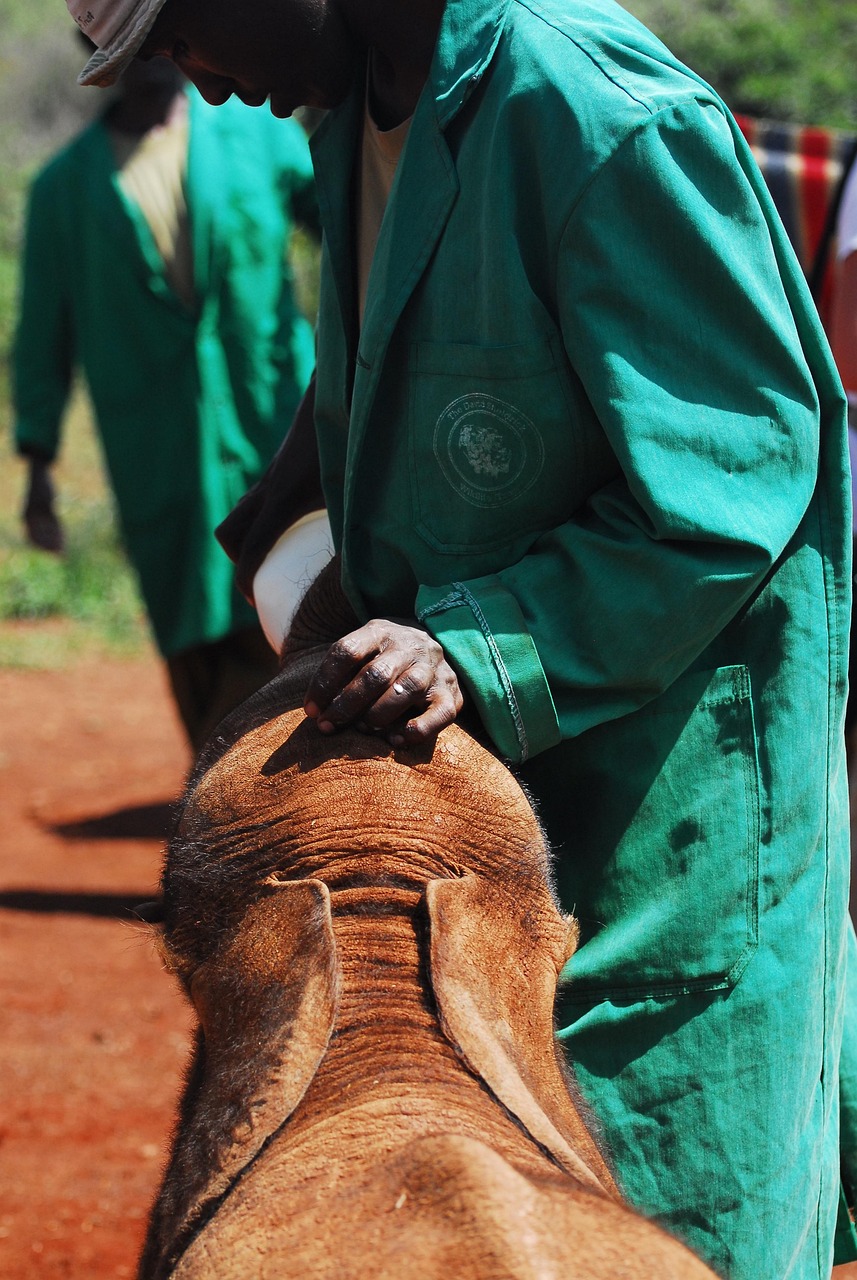 découvrez le monde des ong (organisations non gouvernementales) et leur impact sur la société. informez-vous sur leurs missions, leurs actions et comment vous pouvez contribuer à un changement positif dans divers domaines tels que l'environnement, la santé et les droits de l'homme.