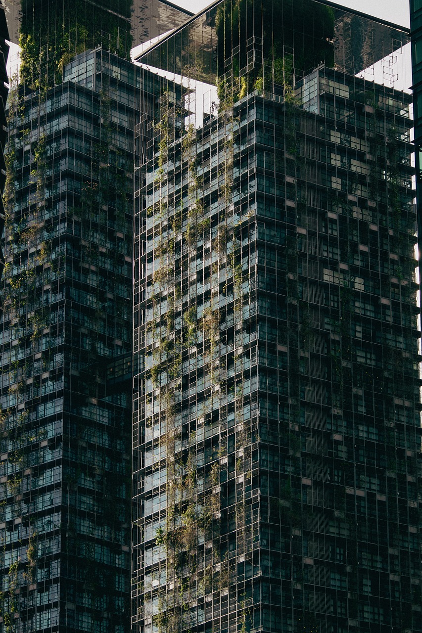 découvrez les principes de la vie durable et apprenez comment intégrer des pratiques respectueuses de l'environnement dans votre quotidien. adoptez des solutions écologiques pour réduire votre impact sur la planète tout en améliorant votre qualité de vie.