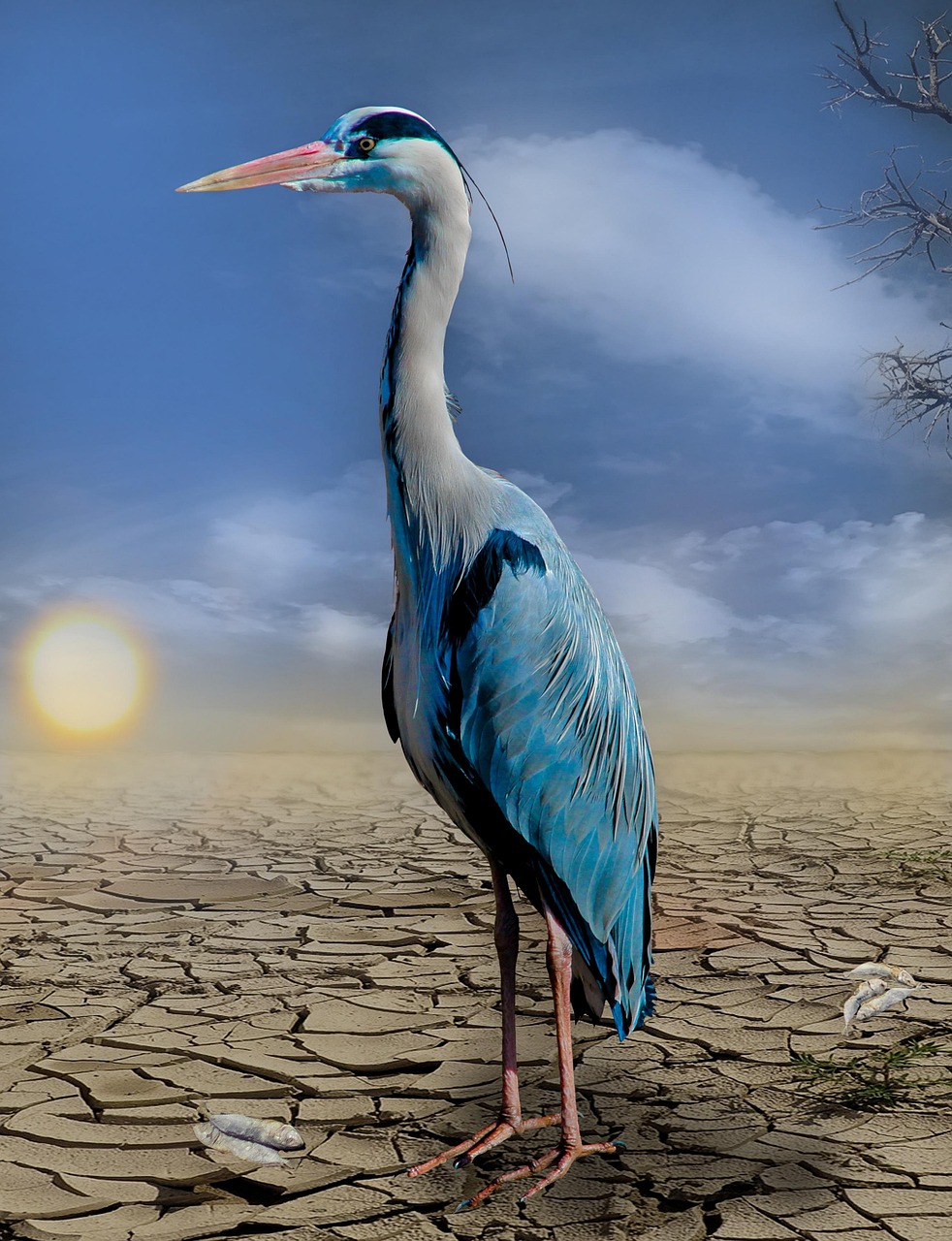 découvrez l'impact du changement climatique sur notre planète, les enjeux environnementaux actuels, et les solutions pour un avenir durable. engagez-vous pour la protection de notre climat.