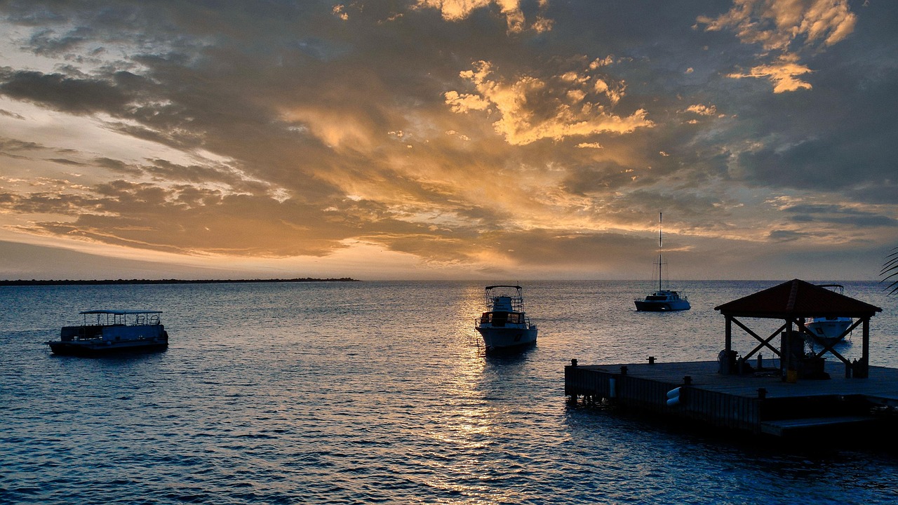 découvrez tout ce qu'il faut savoir pour les résidents de bonaire : conseils, démarches, vie locale et actualités pour bien vivre sur cette île des caraïbes.