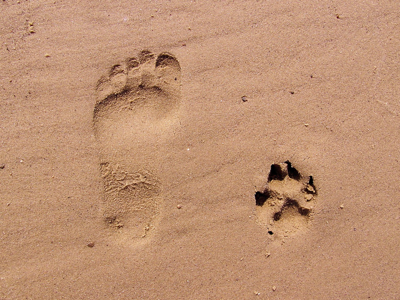 découvrez l'empreinte écologique, un indicateur essentiel pour mesurer l'impact de nos activités sur l'environnement. apprenez comment réduire votre empreinte et contribuer à un avenir durable.