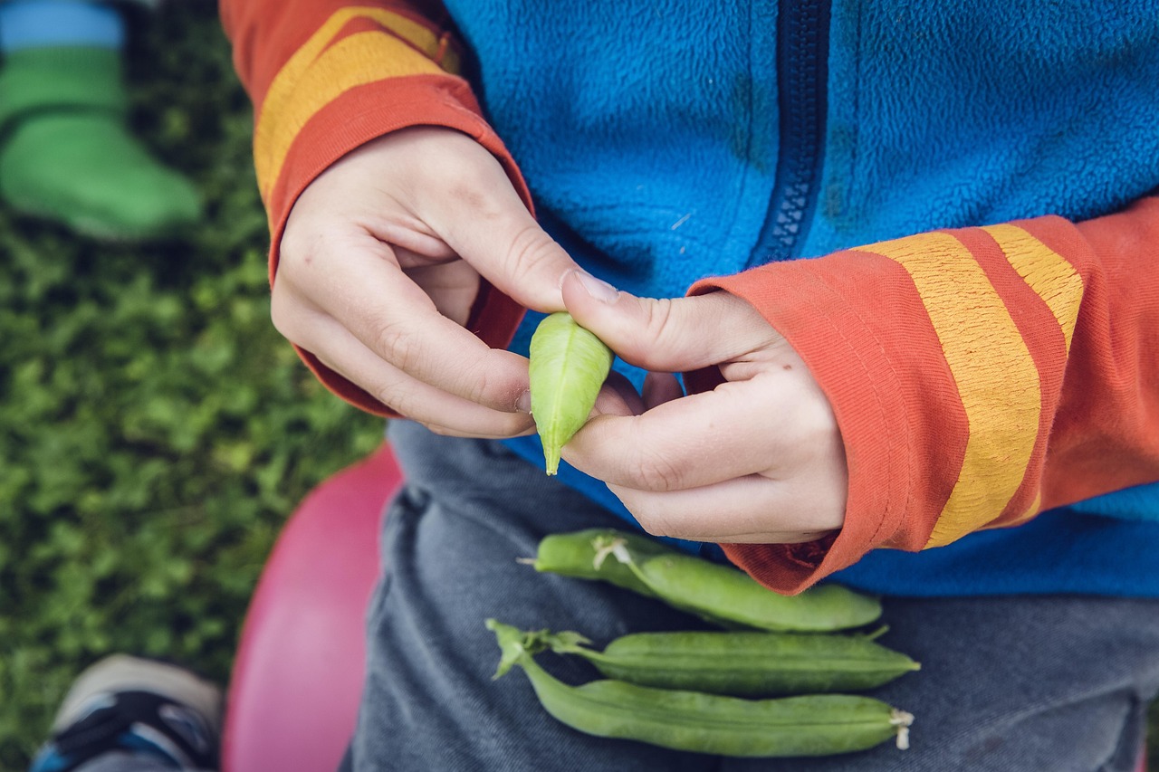 découvrez des pratiques et conseils pour une consommation durable, respectueuse de l'environnement et des ressources naturelles afin de préserver la planète pour les générations futures.