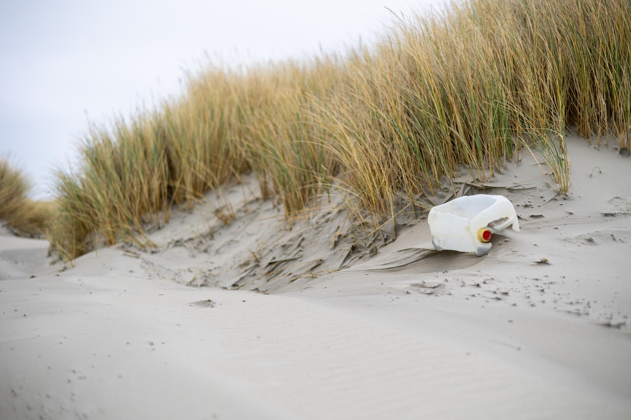 découvrez l'environnement : ses enjeux, ses défis et des solutions pour préserver la planète. informez-vous sur la biodiversité, le changement climatique et les gestes écologiques à adopter au quotidien.