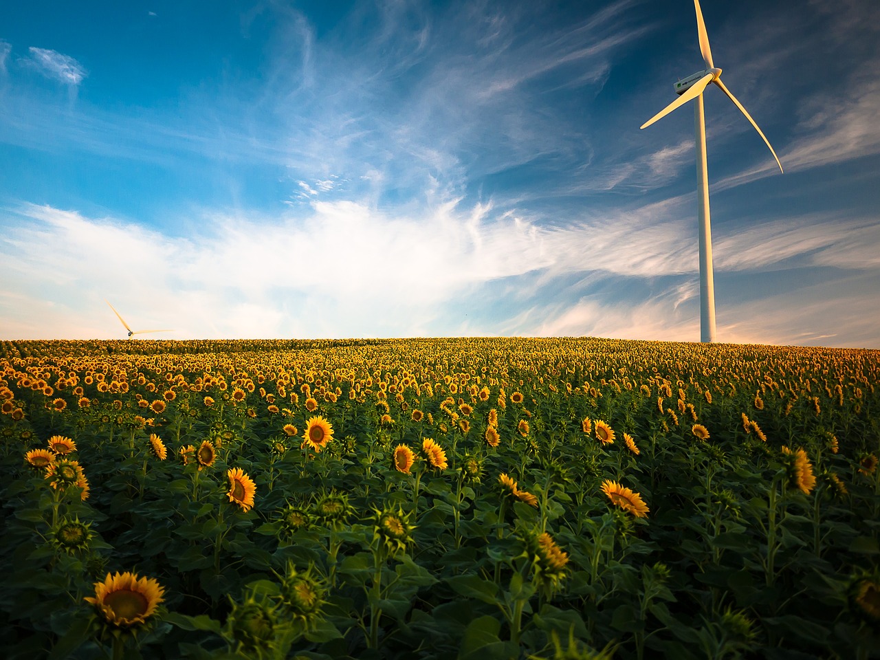 découvrez les solutions d'énergie renouvelable pour un avenir durable. explorez les avantages des énergies solaires, éoliennes et autres sources renouvelables pour réduire votre empreinte carbone et booster votre transition énergétique.