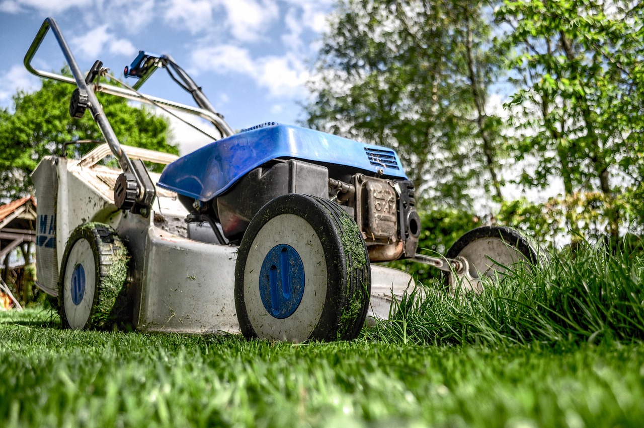 découvrez nos conseils et astuces de jardinage pour embellir votre espace extérieur et cultiver vos plantes avec succès.