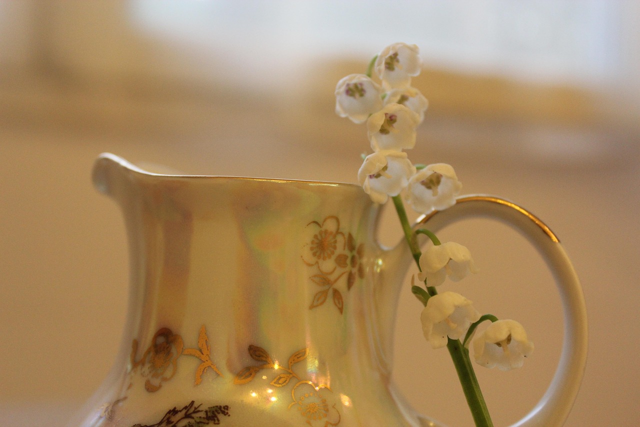 découvrez le muguet, une fleur délicate symbole de bonheur et de renouveau, parfaite pour égayer vos jardins et vos bouquets.