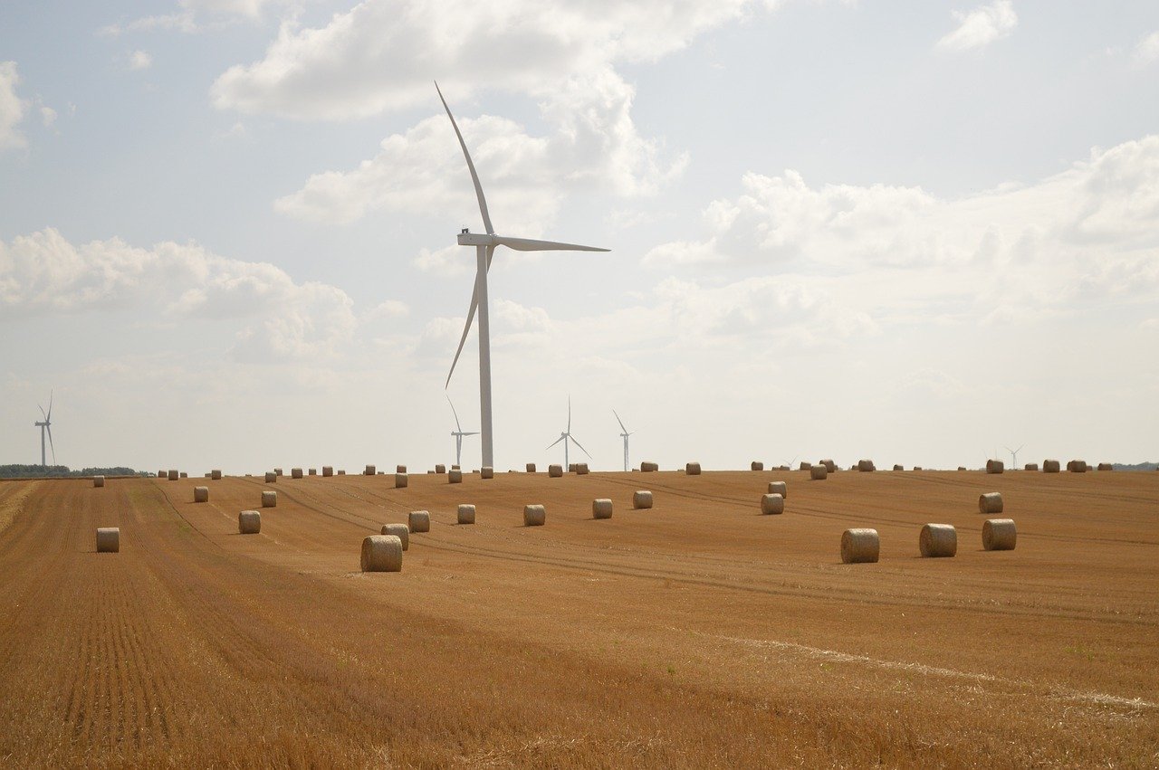 découvrez comment adopter un mode de vie durable grâce à des conseils pratiques, des astuces écologiques et des solutions pour réduire votre impact environnemental au quotidien.