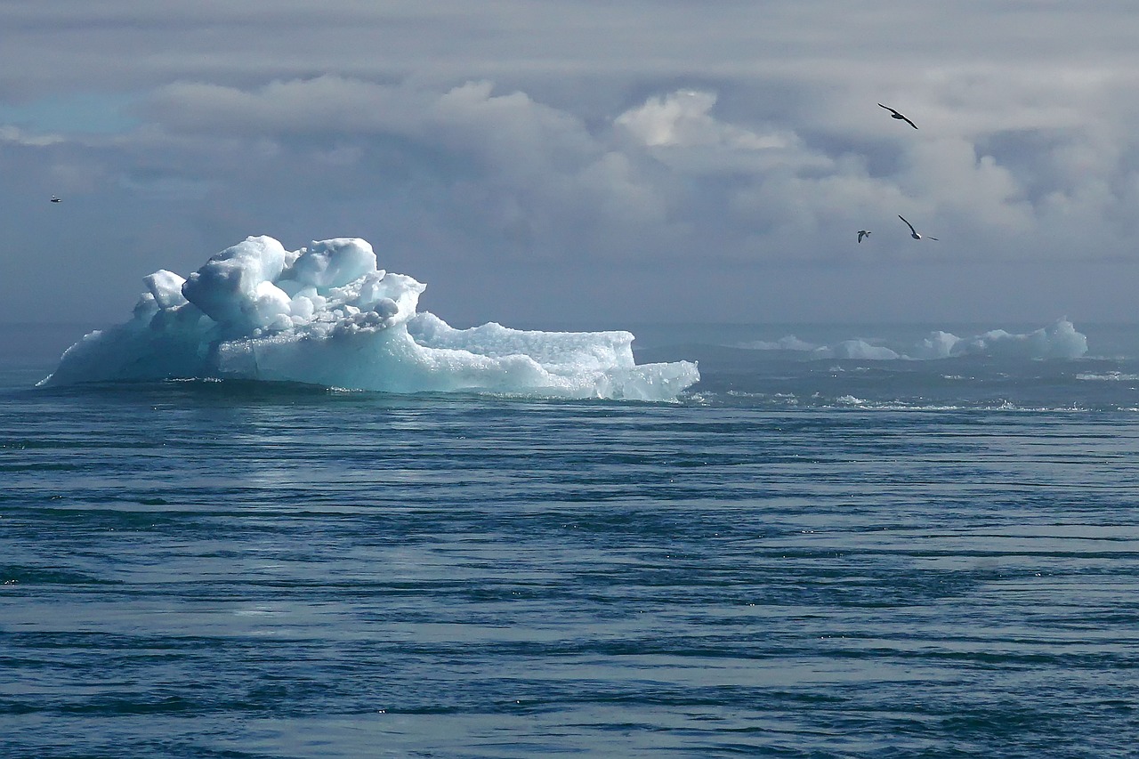 découvrez les enjeux du changement climatique, ses impacts sur notre planète et les actions à entreprendre pour un avenir durable. informez-vous sur les solutions pour atténuer cette crise mondiale.