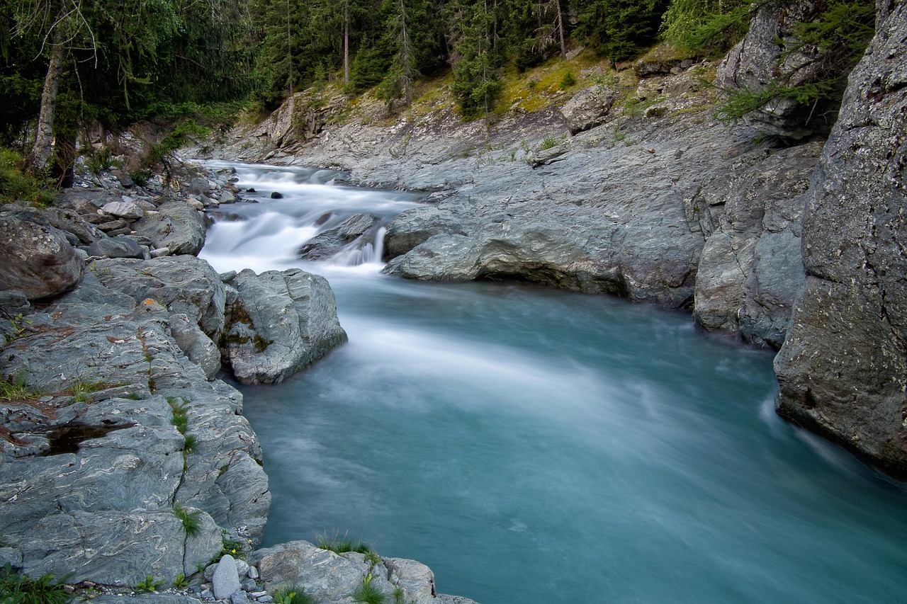 découvrez tout sur l'environnement : protection, biodiversité, changements climatiques et actions durables pour préserver notre planète.