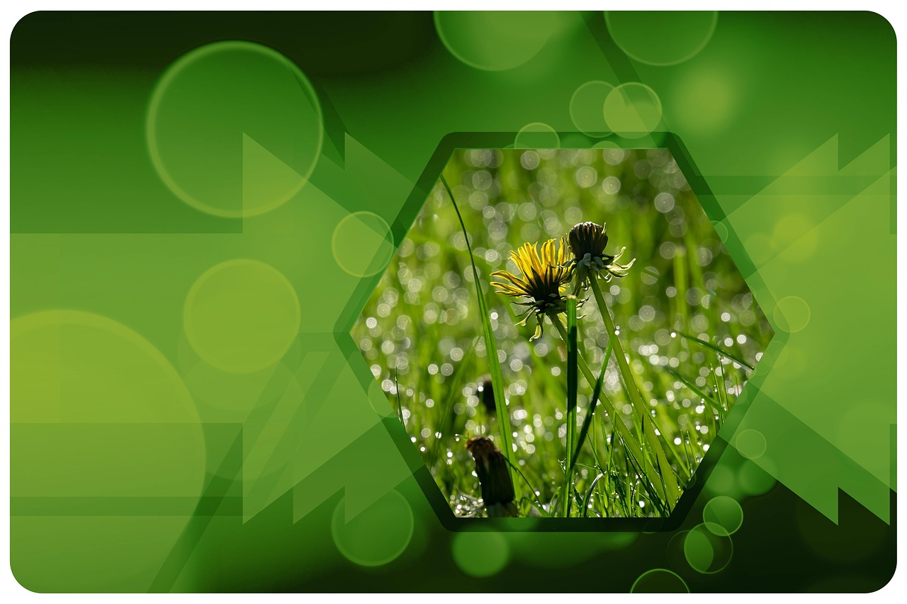 découvrez l'importance de la protection de l'environnement, ses enjeux clés et les actions à entreprendre pour préserver notre planète. informez-vous sur les initiatives écologiques, les pratiques durables et comment chacun peut contribuer à un avenir plus sain.