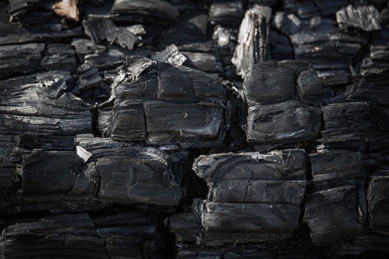 découvrez l'empreinte carbone : un indicateur essentiel pour mesurer l'impact environnemental de nos activités et choisir des solutions durables pour réduire notre contribution au changement climatique.