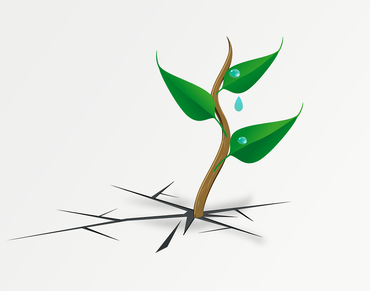 découvrez le concept de résilience, une capacité essentielle à surmonter les défis et à s'adapter face aux adversités. explorez des stratégies et des exemples inspirants pour renforcer votre résilience personnelle et professionnelle.