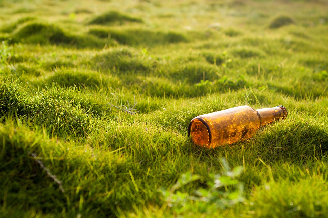 découvrez les enjeux et les actions liés à l'opposition environnementale, leurs impacts sur le développement durable, et les mouvements citoyens qui se mobilisent pour protéger la planète.
